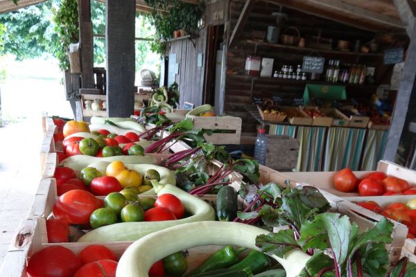 étalage de légumes